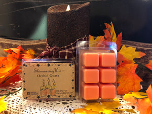 Shimmering Wic Homemade Wax Melts